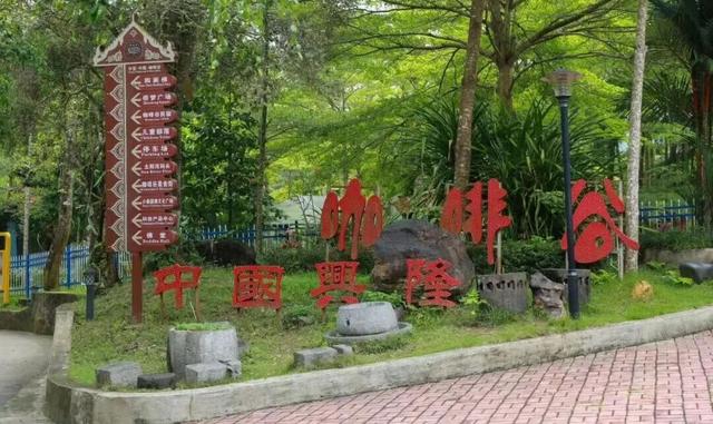 春节游万宁兴隆｜解锁热带归侨的暖冬年味！