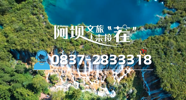 九寨沟树相拥成无缝的画，林荫蝉鸣织天然的曲
