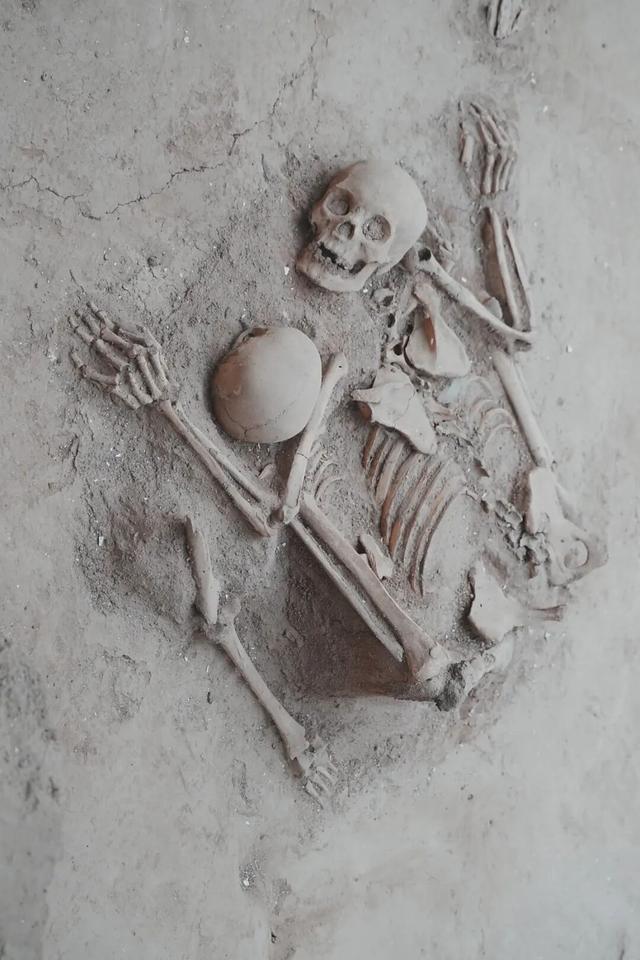 是谁吃了“世界上第一碗面”？青海海东还有多少秘密？