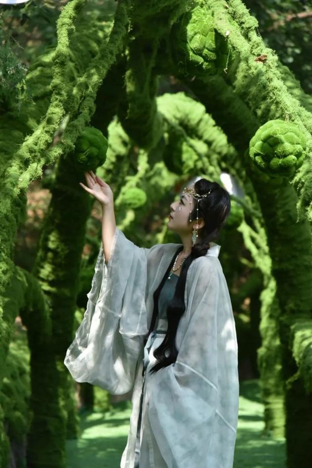 神农山双暴击！绿野仙踪美到窒息，云海翻涌撞进仙侠剧