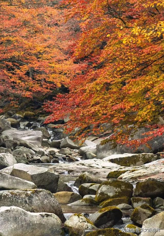 穿越米仓红枫，探秘巴山大峡谷：秦巴山脉里的秋日秘境与千年巴韵