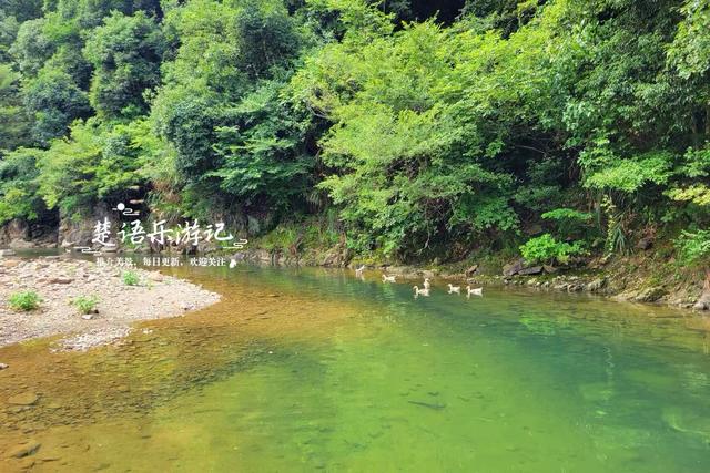 浙江宁波的山谷粉黛花海背山面溪，幽静而浪漫，周边景色更加迷人