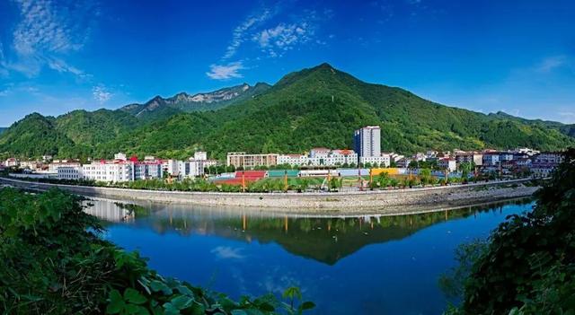 佛坪晚夏寻凉意，猫进秦岭躲避“秋老虎”！