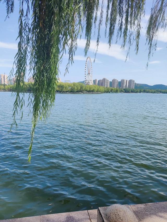 长清湖:泉城水韵与现代文明的和鸣乐章**