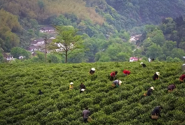 泾县：查济半山一音禅院行