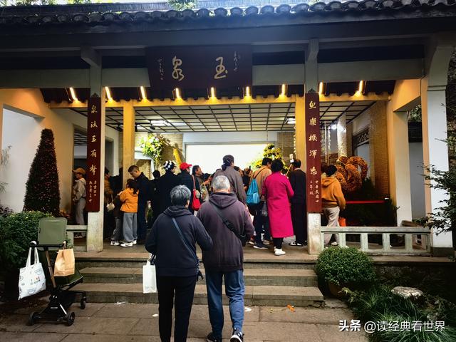 杭州植物园的菊花展——一场关于菊花的饕餮盛宴（二）