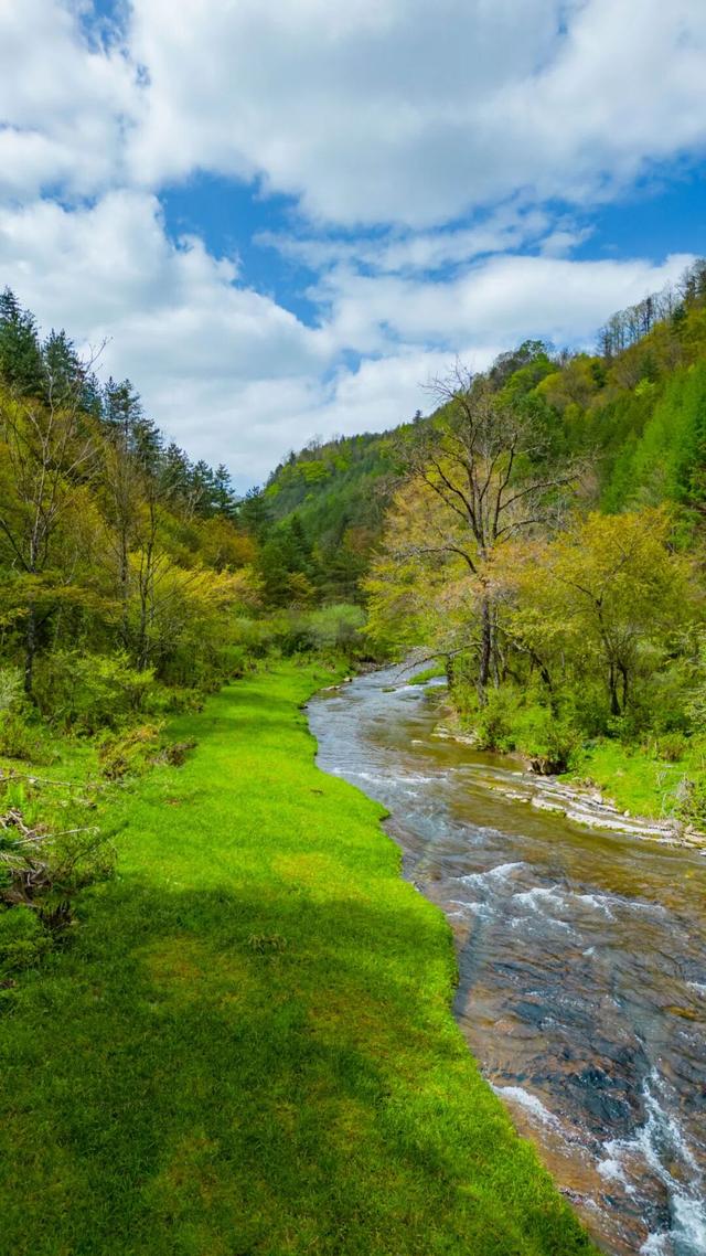 汉中黎坪景区闭园公告