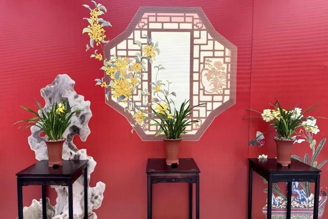 来逛超大冬日花果游园会，2026北京兰花文化嘉年华在昌平开幕 | 动态