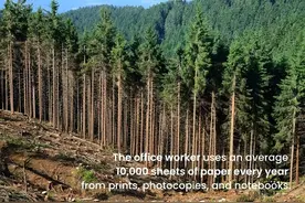 刘胜军｜为“废纸”正名：一项价值数百亿的政策建议图片