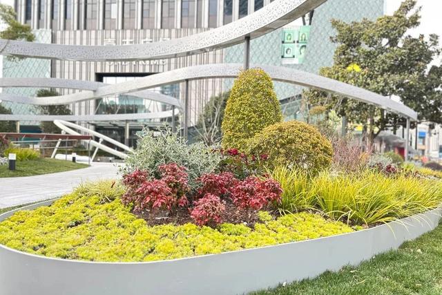 纪念中央特科成立98周年！四川北路上新一座红色文化与绿色生态融合的口袋公园