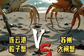 速来！一张“苏超”球票带你玩转景区图片