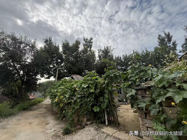 莱芜苗庄有一座隐在山坳里的古村：陡峪