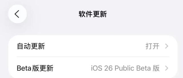 苹果 真有无边框iPhone