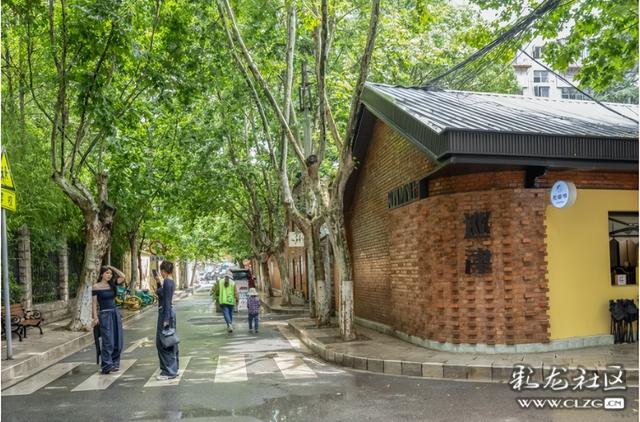 旅居云南·昆明好在（二十）来绿美春城，“氧”你