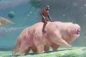 与天地同寿的“最强生物”，在地球没有天敌，煮不烂也冻不死图片