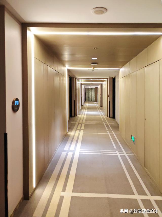 逛菏泽天香公园，这里牡丹很吸引游客，关键是二十四小时免费参观