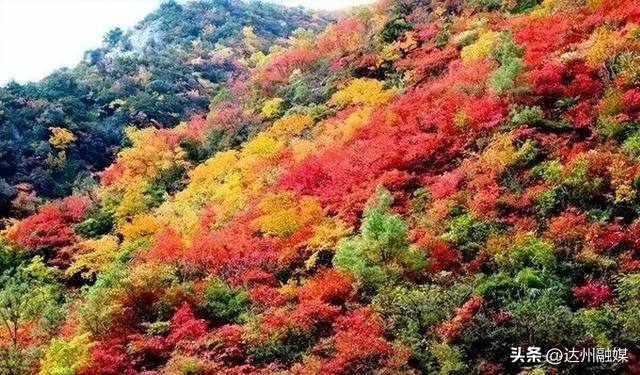 排名公布！宣汉、万源，全国百强！