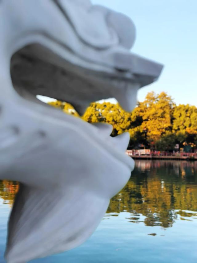 桂林:邂逅榕湖别样情!