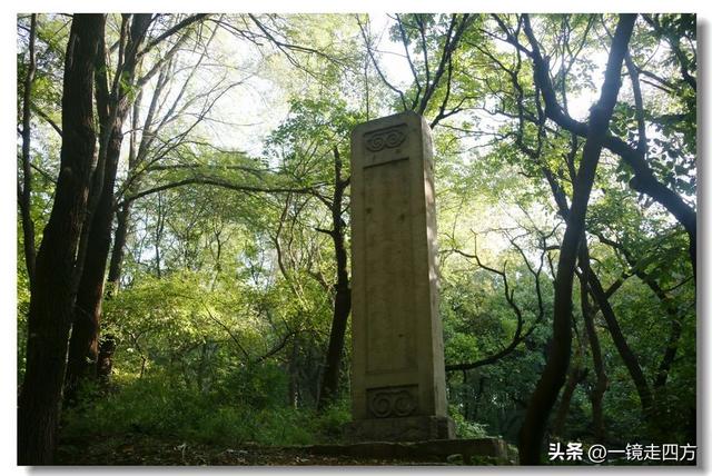 沈阳东陵郊野公园“精灵”出没