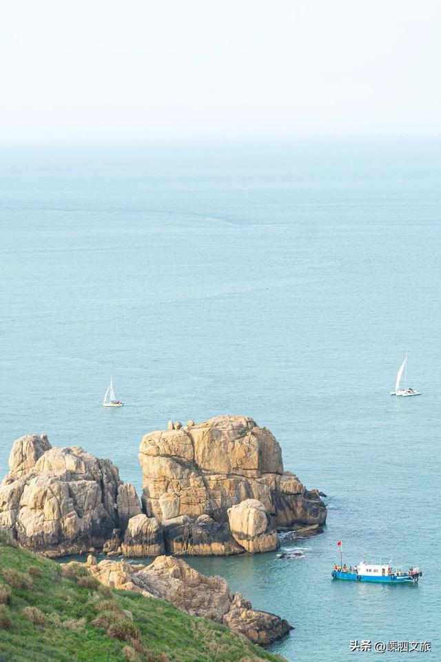 冬日寡淡？NO！看，花鸟岛的缤纷藏不住啦！