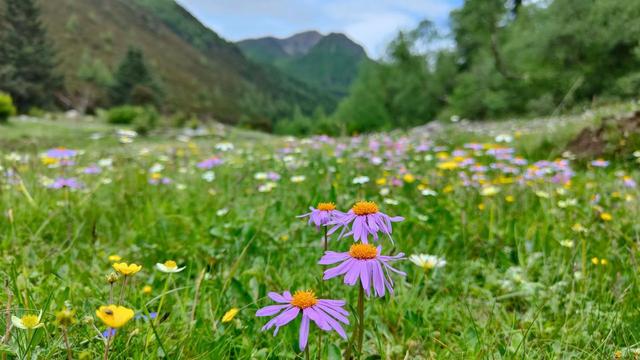 玉龙拉措，湖光里的格萨尔王和珠姆