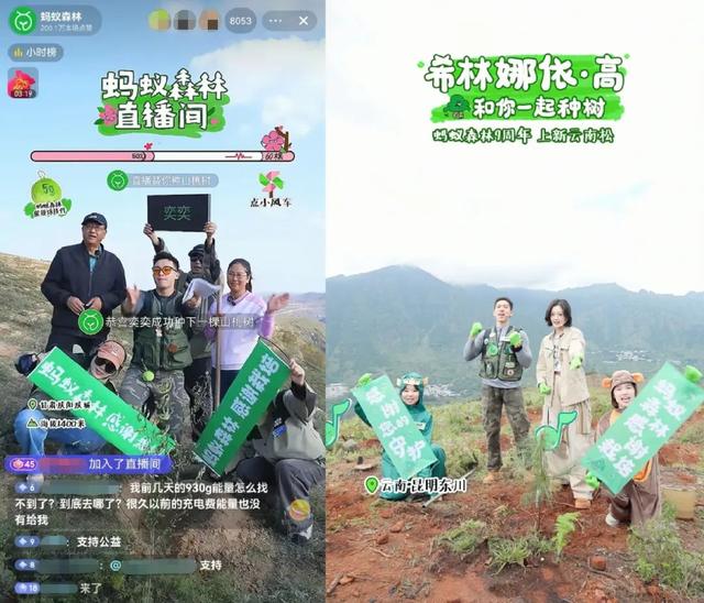 看见直播间里种树，年轻人就走不动道了