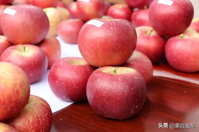 登芳华天梯，享苹果盛宴！来蒙自开启甜蜜激情秋日之约→