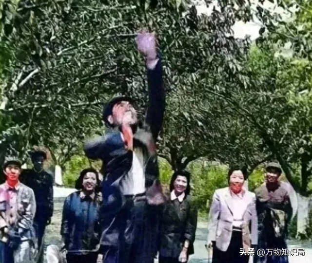 老照片：周总理当众跳起来，为邓大姐摘苹果，浪漫温馨少年气十足