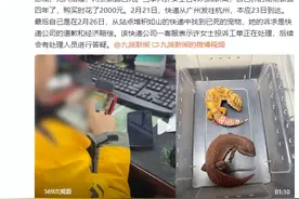 女子寄2只蜥蜴多日无人送件致死，客服回应：正在处理图片