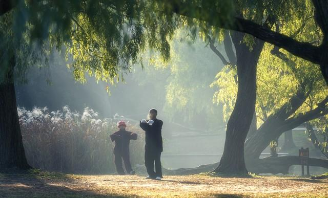 杨公大松大软：内劲松透龙虎形、脊椎松透臂如翼、腰胯松透腰眼凸