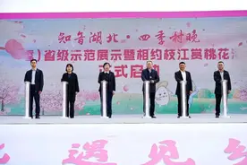 “知音湖北·四季村晚”相约枝江赏桃花图片
