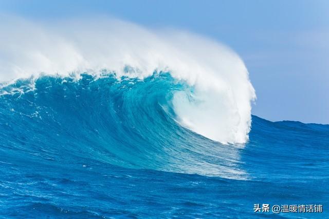 你不是忘不掉，只是还没学会这样放手！