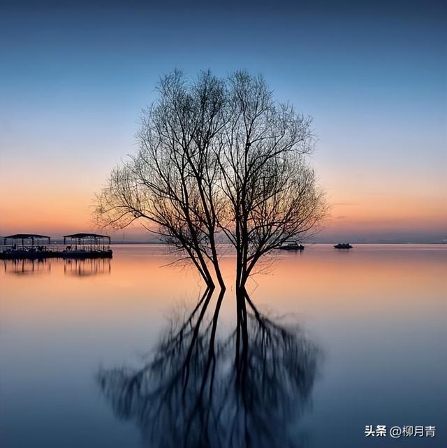 泰戈尔诗选最美的十首诗，一生一定要读一次，总有一句戳中你的心
