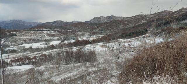 后半生在威海看够雪