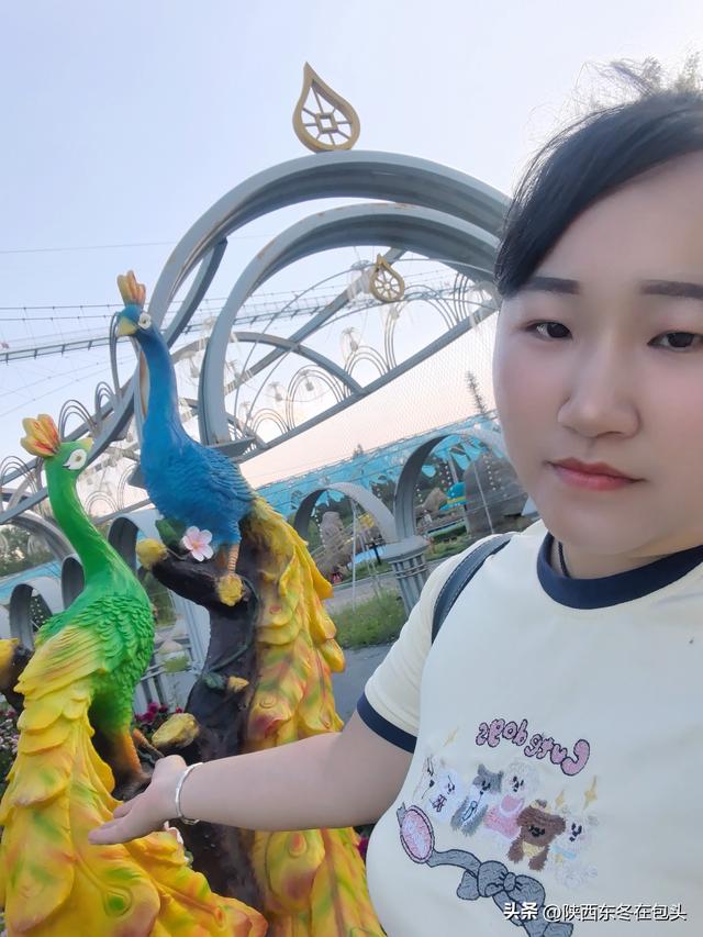 夜游包头石拐花舞人间：一场与家人的初秋闲游