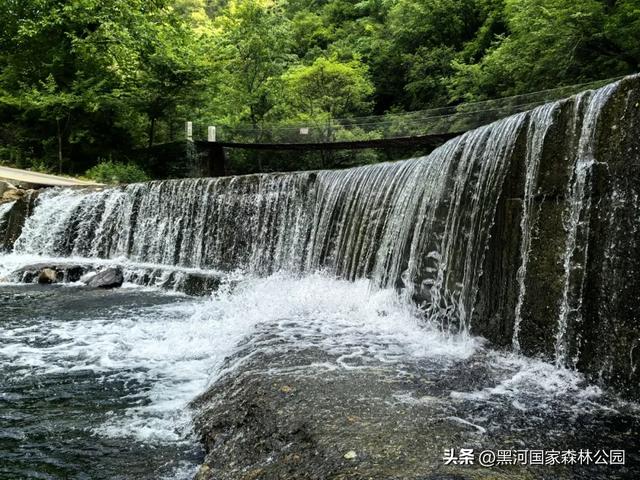 秋意漫染黑河，清风轻吟，邂逅一场如诗的秋日美景