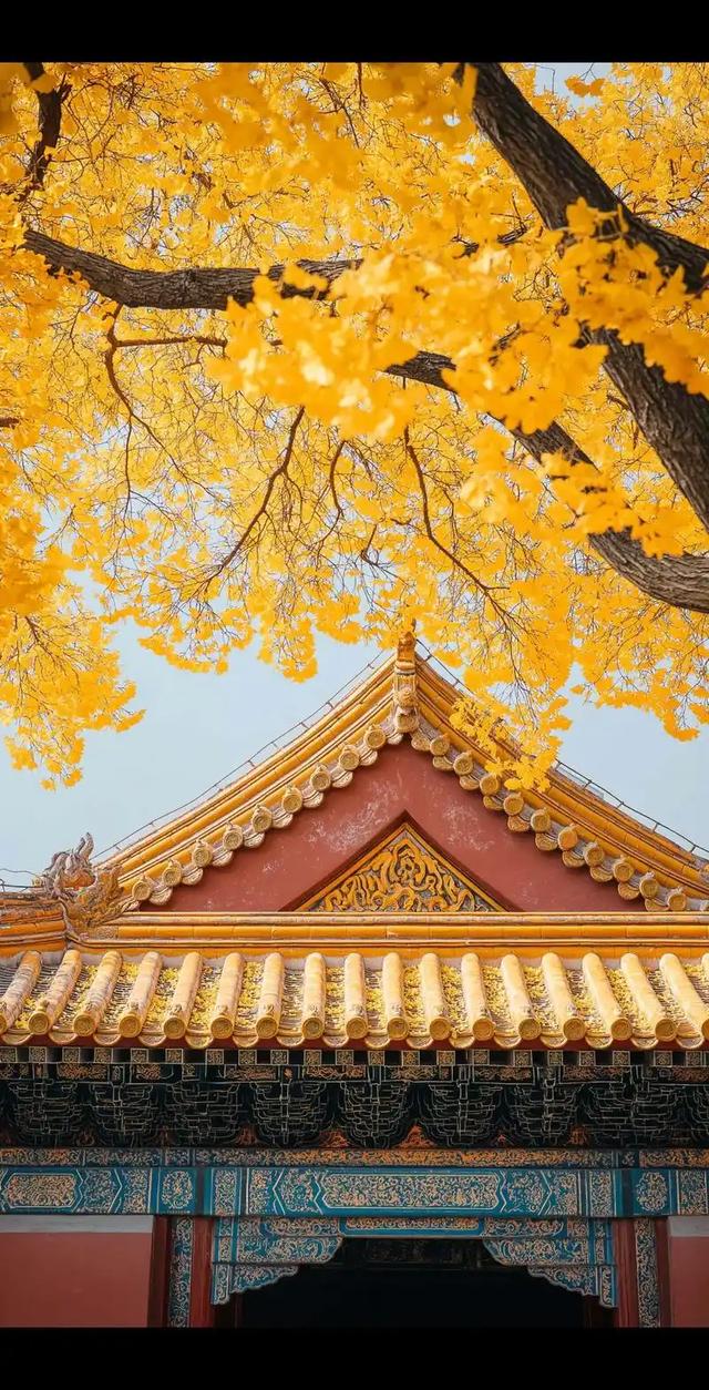 北京秋日秘境：古刹银杏黄，邂逅千年禅意