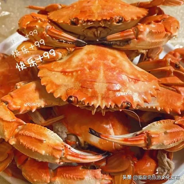 别急着贴秋膘，秦皇岛夏日必吃美食别错过！还有这些可以带走的旅游记忆~