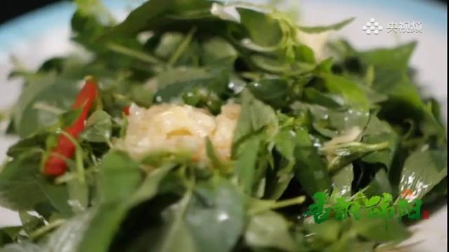 最新报告出炉！开封表现亮眼~