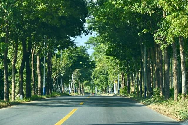 惠聚美好丨218最美旅游公路