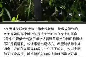 ​莆田失踪男孩脚印被发现系谣言，搜救工作仍在继续图片
