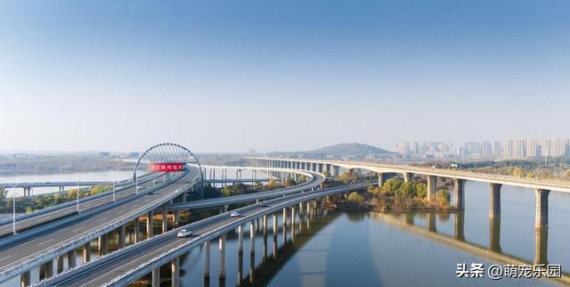 晨光轻抚江面，武汉苏醒时，我被这暖冬诗意震撼了