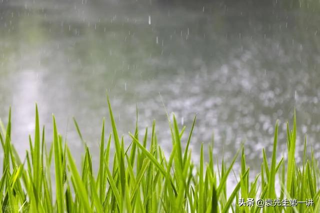 今日入伏，老人说最怕“入伏一日雨”，入伏天下雨有啥预兆？