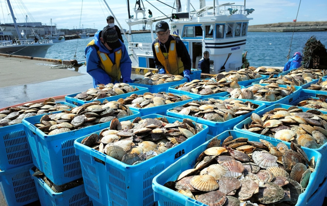 日方刚离开北京，高市收到噩耗，中方动真格了，对日下了一道禁令