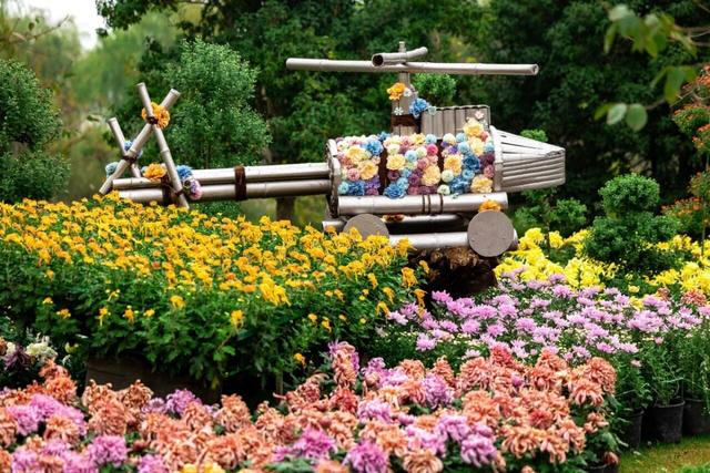 去赏菊，感受五彩斑斓的秋意！