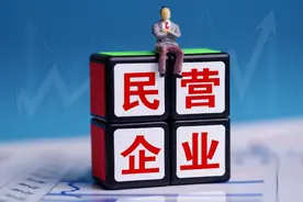 2024湖南民营100强：蓝思科技第5，唐人神第10，衡阳郴州各5家图片
