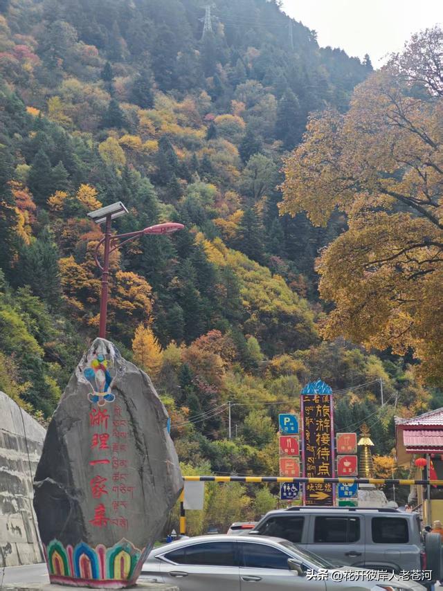 米亚罗彩林季，观赏一日游！