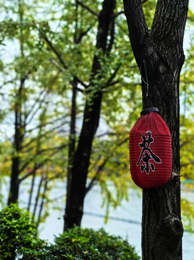 桂林:最是初冬晴午后!