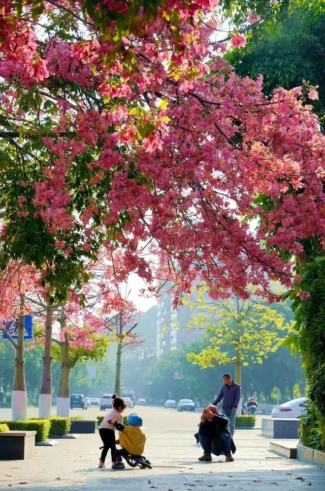 韶关，最美的风景是人