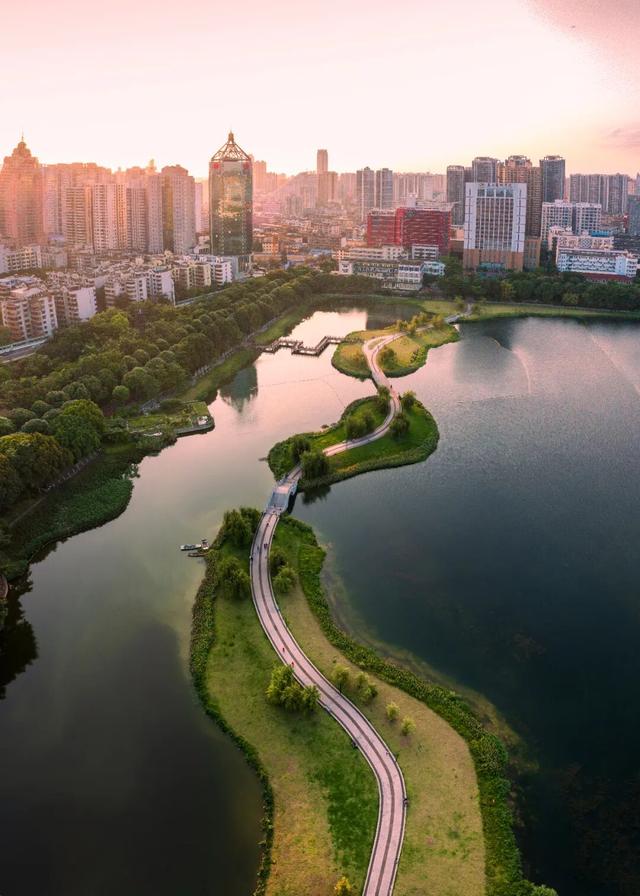 一半是安逸养老，一半是熬夜天堂！这座城冬天有鲜花，凌晨有人潮